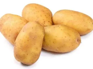 Facts of generalization-桂冠的科普小站